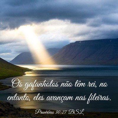 Picture 03 - Provérbios 30:27 BSL - Os gafanhotos não têm rei, no entanto, eles - Bible Verse Picture