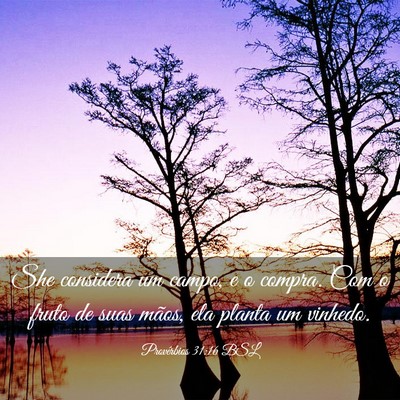 Picture 03 - Provérbios 31:16 BSL - She considera um campo, e o compra. Com o fruto - Bible Verse Picture