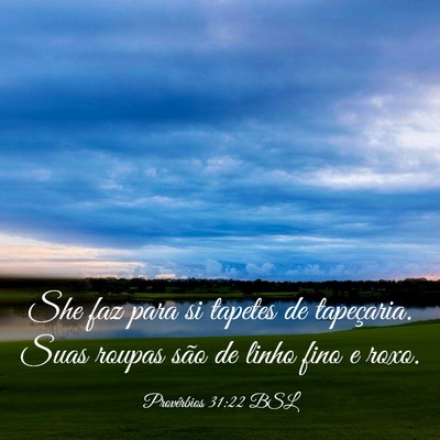 Picture 03 - Provérbios 31:22 BSL - She faz para si tapetes de tapeçaria. Suas - Bible Verse Picture