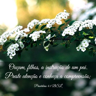 Picture 03 - Provérbios 4:1 BSL - Ouçam, filhos, a instrução de um pai. Preste - Bible Verse Picture