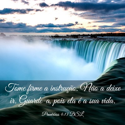 Picture 03 - Provérbios 4:13 BSL - Tome firme a instrução. Não a deixe ir. - Bible Verse Picture