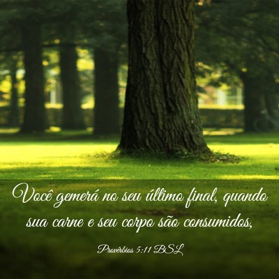 Picture 03 - Provérbios 5:11 BSL - Você gemerá no seu último final, quando sua - Bible Verse Picture