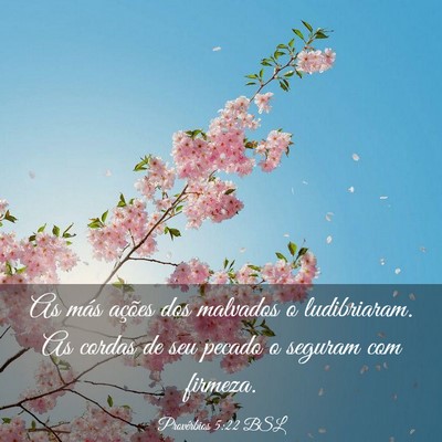 Picture 03 - Provérbios 5:22 BSL - As más ações dos malvados o ludibriaram. As - Bible Verse Picture