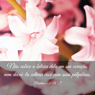 Picture 03 - Provérbios 6:25 BSL - Não cobice a beleza dela em seu coração, nem - Bible Verse Picture