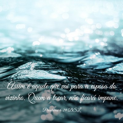 Picture 03 - Provérbios 6:29 BSL - Assim é aquele que vai para a esposa do vizinho. - Bible Verse Picture