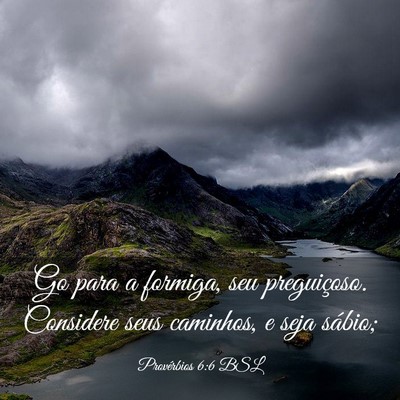 Picture 03 - Provérbios 6:6 BSL - Go para a formiga, seu preguiçoso. Considere - Bible Verse Picture