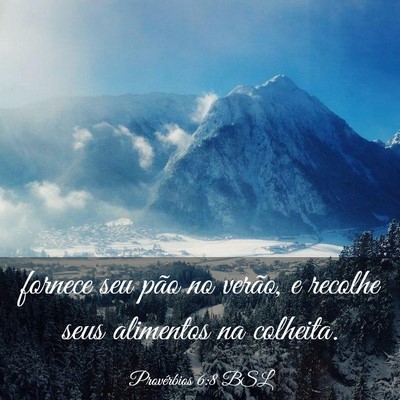 Picture 03 - Provérbios 6:8 BSL - fornece seu pão no verão, e recolhe seus - Bible Verse Picture