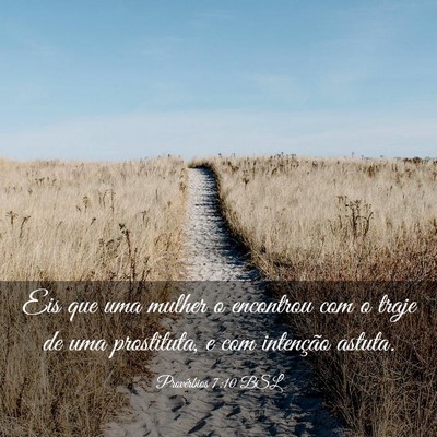 Picture 03 - Provérbios 7:10 BSL - Eis que uma mulher o encontrou com o traje de uma - Bible Verse Picture