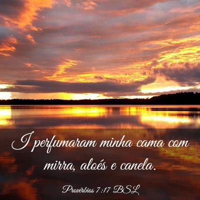 Picture 03 - Provérbios 7:17 BSL - I perfumaram minha cama com mirra, aloés e - Bible Verse Picture