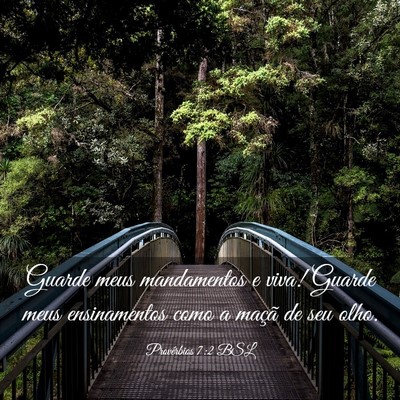 Picture 03 - Provérbios 7:2 BSL - Guarde meus mandamentos e viva! Guarde meus - Bible Verse Picture
