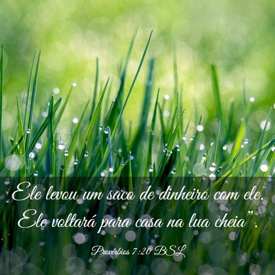 Picture 03 - Provérbios 7:20 BSL - Ele levou um saco de dinheiro com ele. Ele - Bible Verse Picture