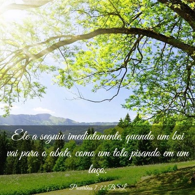 Picture 03 - Provérbios 7:22 BSL - Ele a seguiu imediatamente, quando um boi vai - Bible Verse Picture