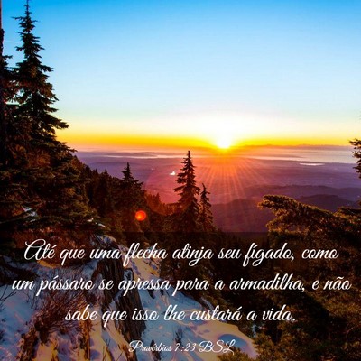 Picture 03 - Provérbios 7:23 BSL - Até que uma flecha atinja seu fígado, como um - Bible Verse Picture
