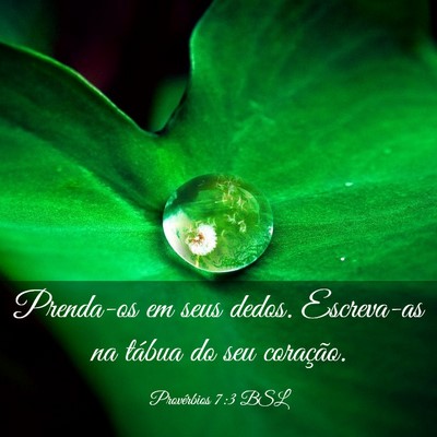 Picture 03 - Provérbios 7:3 BSL - Prenda-os em seus dedos. Escreva-as na tábua do - Bible Verse Picture