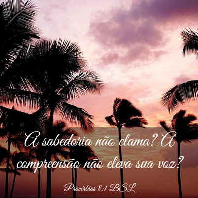 Picture 03 - Provérbios 8:1 BSL - A sabedoria não clama? A compreensão não eleva - Bible Verse Picture