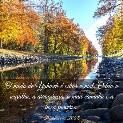 Picture 03 - Provérbios 8:13 BSL - O medo de Yahweh é odiar o mal. Odeio o orgulho, - Bible Verse Picture