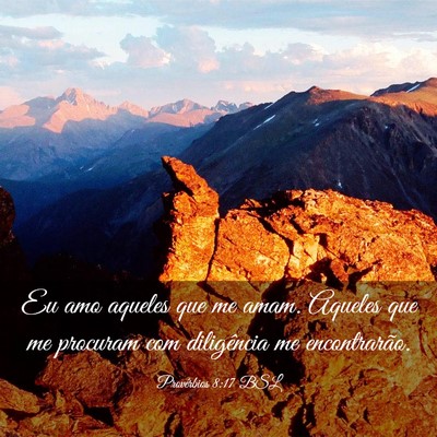Picture 03 - Provérbios 8:17 BSL - Eu amo aqueles que me amam. Aqueles que me - Bible Verse Picture