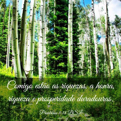 Picture 03 - Provérbios 8:18 BSL - Comigo estão as riquezas, a honra, riqueza e - Bible Verse Picture