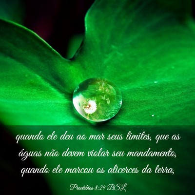 Picture 03 - Provérbios 8:29 BSL - quando ele deu ao mar seus limites, que as águas - Bible Verse Picture