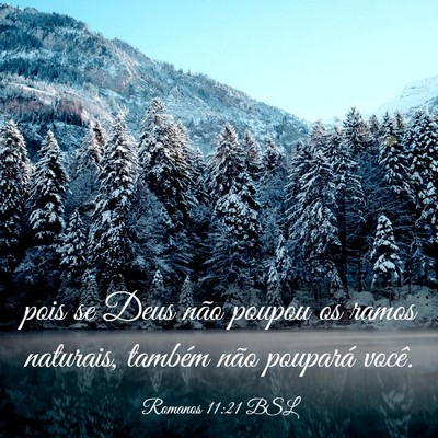 Picture 03 - Romanos 11:21 BSL - pois se Deus não poupou os ramos naturais, - Bible Verse Picture