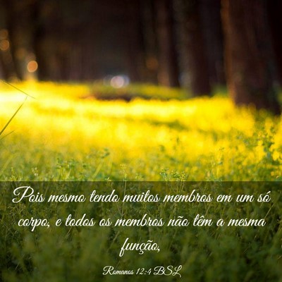Picture 03 - Romanos 12:4 BSL - Pois mesmo tendo muitos membros em um só corpo, - Bible Verse Picture