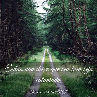 Picture 03 - Romanos 14:16 BSL - Então não deixe que seu bem seja - Bible Verse Picture