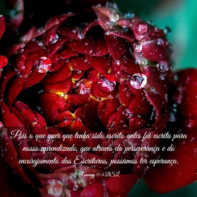 Picture 03 - Romanos 15:4 BSL - Pois o que quer que tenha sido escrito antes foi - Bible Verse Picture