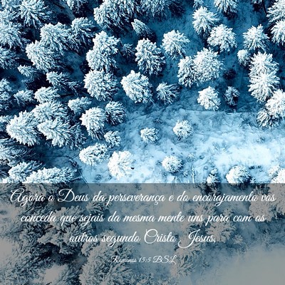 Picture 03 - Romanos 15:5 BSL - Agora o Deus da perseverança e do encorajamento - Bible Verse Picture