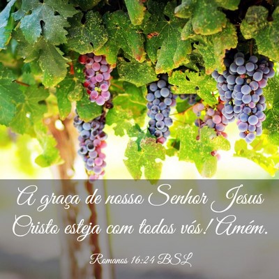 Picture 03 - Romanos 16:24 BSL - A graça de nosso Senhor Jesus Cristo esteja com - Bible Verse Picture