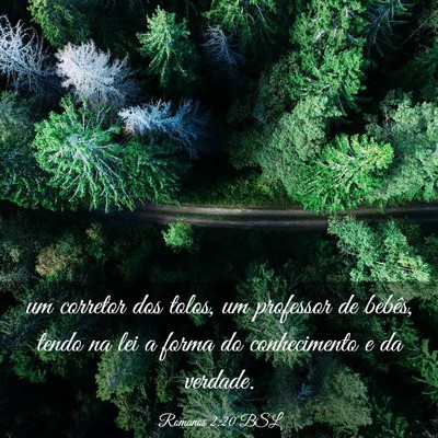 Picture 03 - Romanos 2:20 BSL - um corretor dos tolos, um professor de bebês, - Bible Verse Picture
