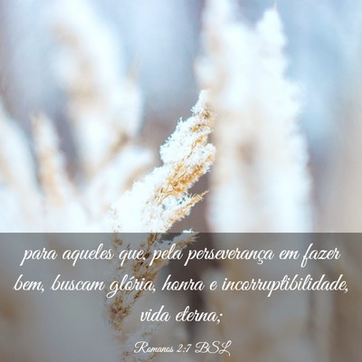 Picture 03 - Romanos 2:7 BSL - para aqueles que, pela perseverança em fazer - Bible Verse Picture