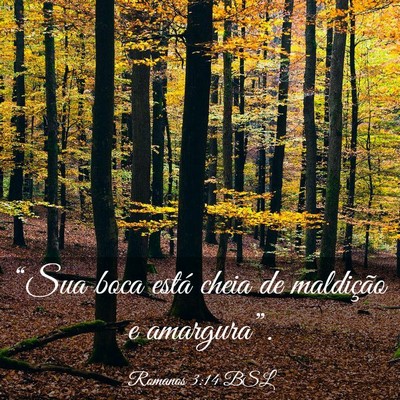 Picture 03 - Romanos 3:14 BSL - “Sua boca está cheia de maldição e - Bible Verse Picture