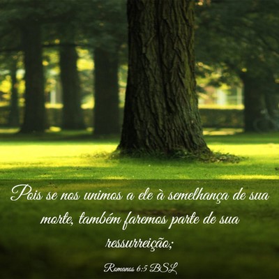 Picture 03 - Romanos 6:5 BSL - Pois se nos unimos a ele à semelhança de sua - Bible Verse Picture