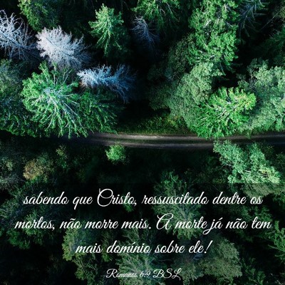 Picture 03 - Romanos 6:9 BSL - sabendo que Cristo, ressuscitado dentre os - Bible Verse Picture