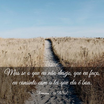 Picture 03 - Romanos 7:16 BSL - Mas se o que eu não desejo, que eu faço, eu - Bible Verse Picture