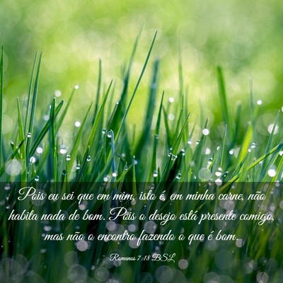 Picture 03 - Romanos 7:18 BSL - Pois eu sei que em mim, isto é, em minha carne, - Bible Verse Picture