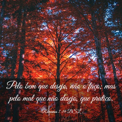 Picture 03 - Romanos 7:19 BSL - Pelo bem que desejo, não o faço; mas pelo mal - Bible Verse Picture