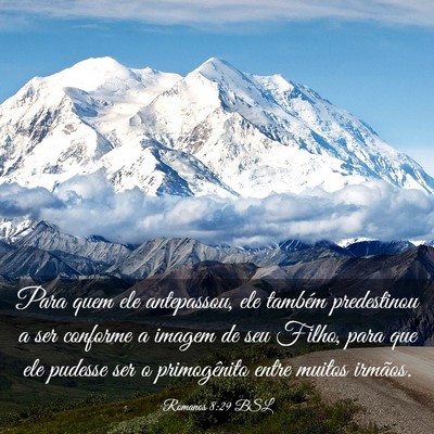 Picture 03 - Romanos 8:29 BSL - Para quem ele antepassou, ele também predestinou - Bible Verse Picture