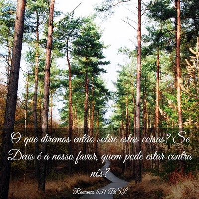 Picture 03 - Romanos 8:31 BSL - O que diremos então sobre estas coisas? Se Deus - Bible Verse Picture