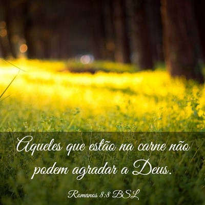 Picture 03 - Romanos 8:8 BSL - Aqueles que estão na carne não podem agradar a - Bible Verse Picture
