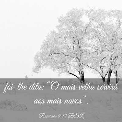 Picture 03 - Romanos 9:12 BSL - foi-lhe dito: “O mais velho servirá aos mais - Bible Verse Picture