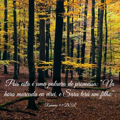 Picture 03 - Romanos 9:9 BSL - Pois esta é uma palavra de promessa: “Na hora - Bible Verse Picture