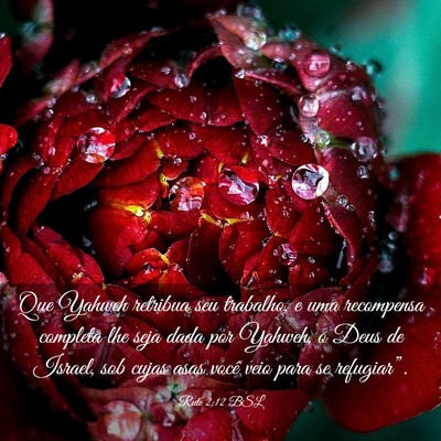 Picture 03 - Rute 2:12 BSL - Que Yahweh retribua seu trabalho, e uma - Bible Verse Picture