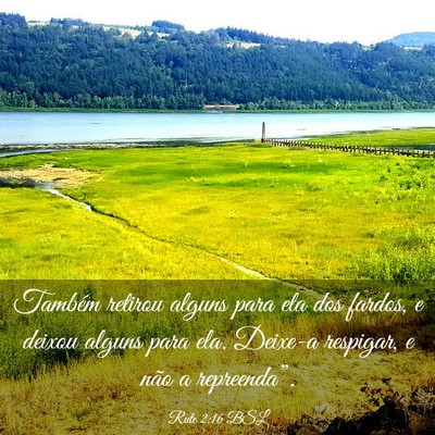Picture 03 - Rute 2:16 BSL - Também retirou alguns para ela dos fardos, e - Bible Verse Picture