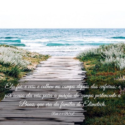 Picture 03 - Rute 2:3 BSL - Ela foi, e veio e colheu no campo depois dos - Bible Verse Picture