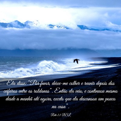 Picture 03 - Rute 2:7 BSL - Ela disse: “Por favor, deixe-me colher e reunir - Bible Verse Picture