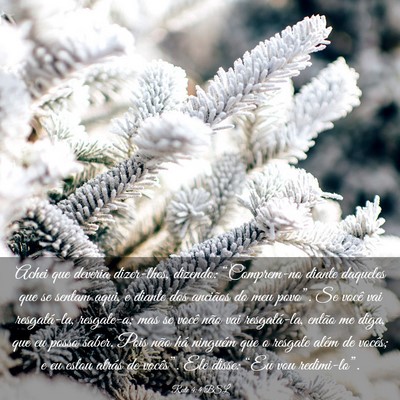 Picture 03 - Rute 4:4 BSL - Achei que deveria dizer-lhes, dizendo: - Bible Verse Picture