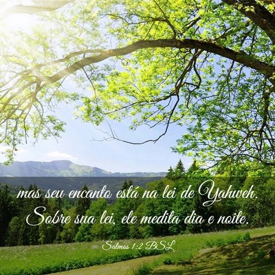 Picture 03 - Salmos 1:2 BSL - mas seu encanto está na lei de Yahweh. Sobre sua - Bible Verse Picture
