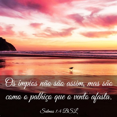 Picture 03 - Salmos 1:4 BSL - Os ímpios não são assim, mas são como o - Bible Verse Picture