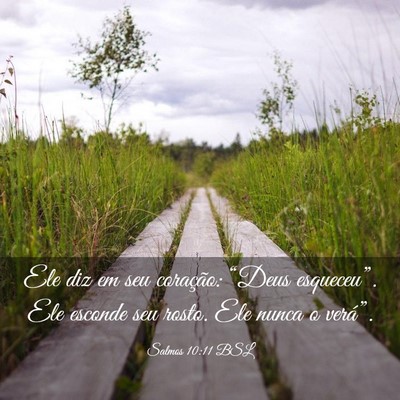 Picture 03 - Salmos 10:11 BSL - Ele diz em seu coração: “Deus esqueceu”. - Bible Verse Picture